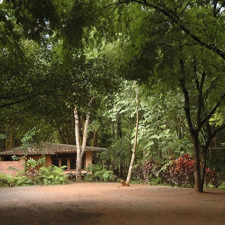 Momchailai Forest Retreat Kanchanaburi Dış mekan fotoğraf