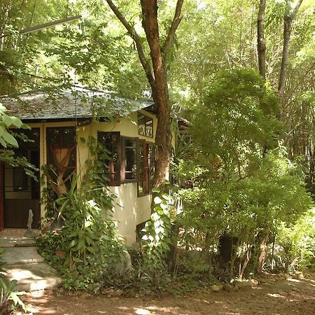 Momchailai Forest Retreat Kanchanaburi Dış mekan fotoğraf